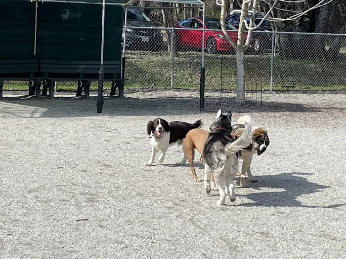Western Gateway Dog Park 6