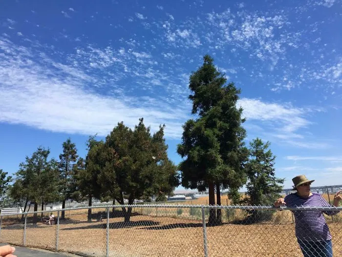 Martinez Waterfront Dog Park 9