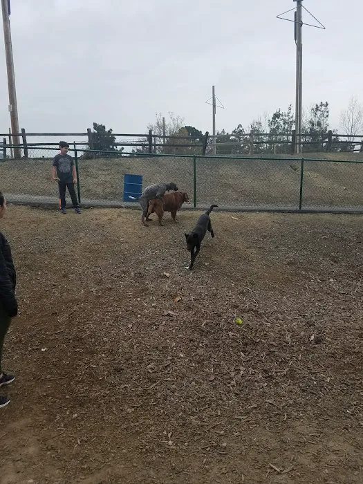 Martinez Waterfront Dog Park 2