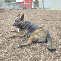 Martinez Waterfront Dog Park ico