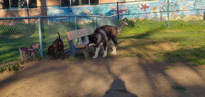 Baldwin Dog Park 9