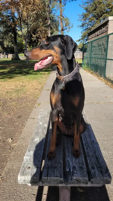Baldwin Dog Park 2