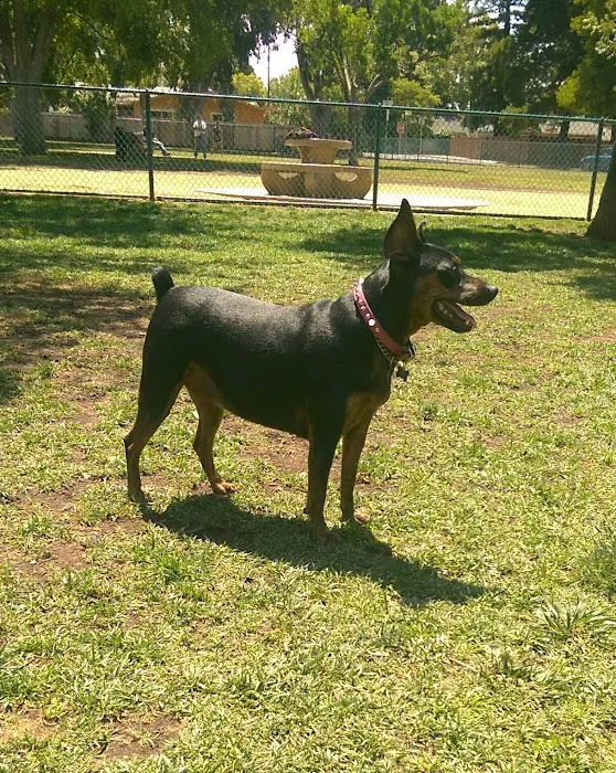 Baldwin Dog Park 3