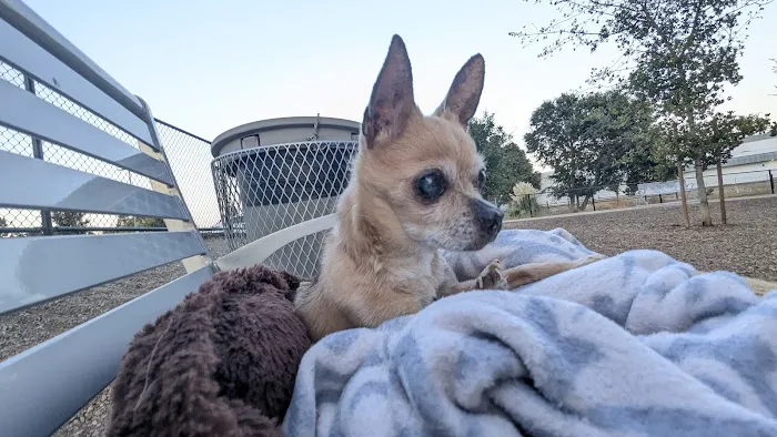 Chilpancingo Dog Park 1