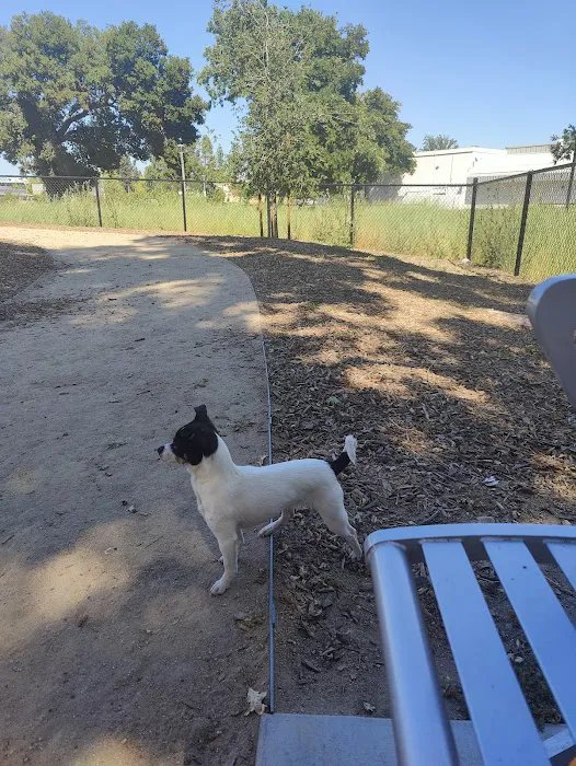 Chilpancingo Dog Park 8