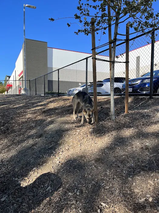 Chilpancingo Dog Park 3
