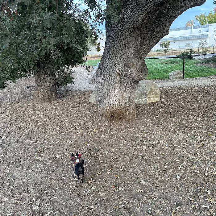 Chilpancingo Dog Park 10