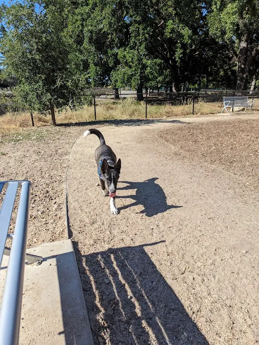 Chilpancingo Dog Park 9