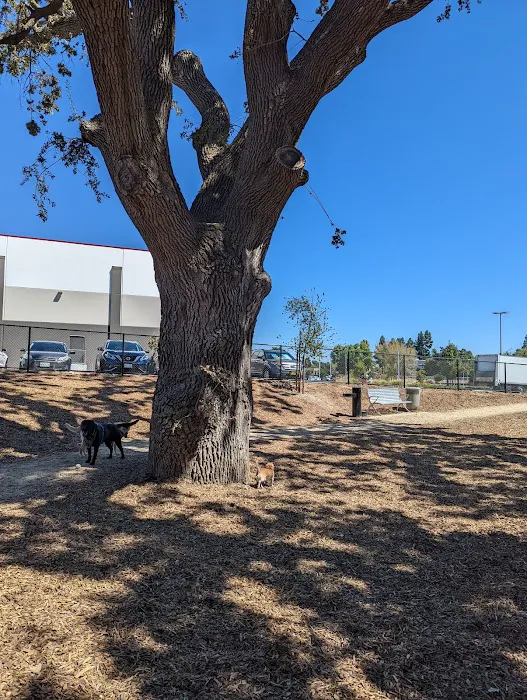 Chilpancingo Dog Park 7