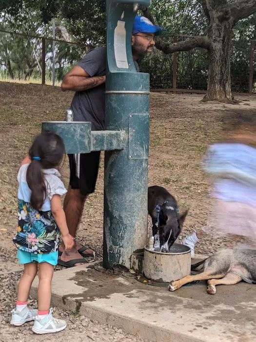 Paso Nogal Dog Park 7