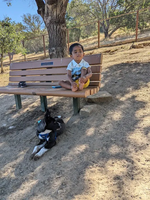 Paso Nogal Dog Park 9
