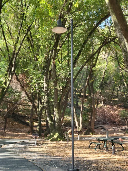 Pinole Valley Dog Park 1