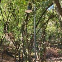 Pinole Valley Dog Park ico