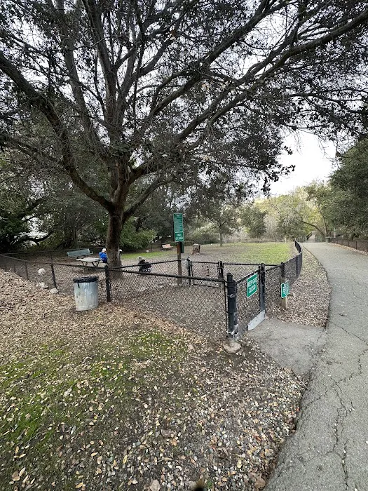 Pinole Valley Dog Park 2