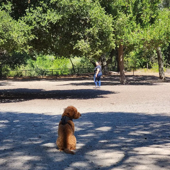 Pinole Valley Dog Park 9