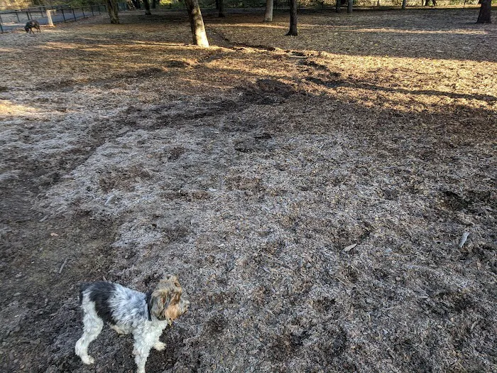 Pinole Valley Dog Park 8