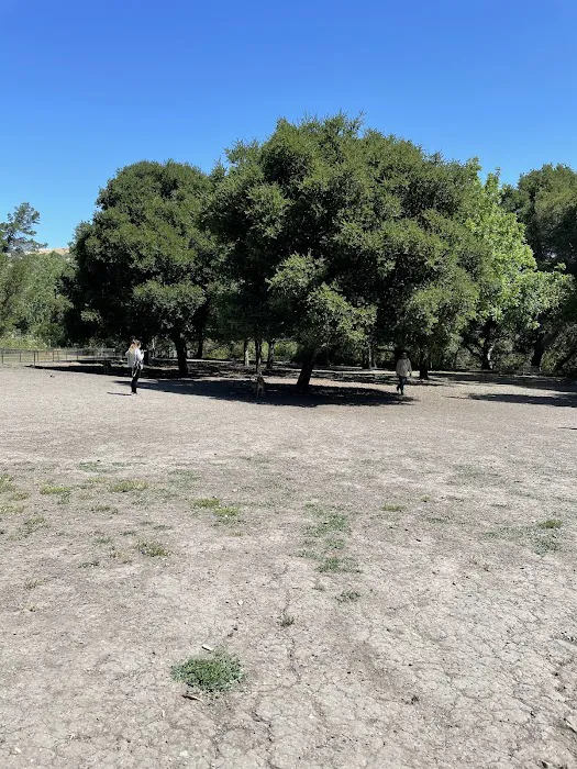 Pinole Valley Dog Park 5