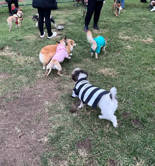 Newhall Dog Park 5