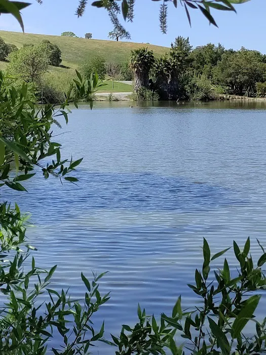 Newhall Dog Park 1