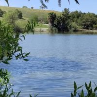 Newhall Dog Park ico