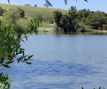 Newhall Dog Park