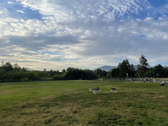 Newhall Dog Park 6