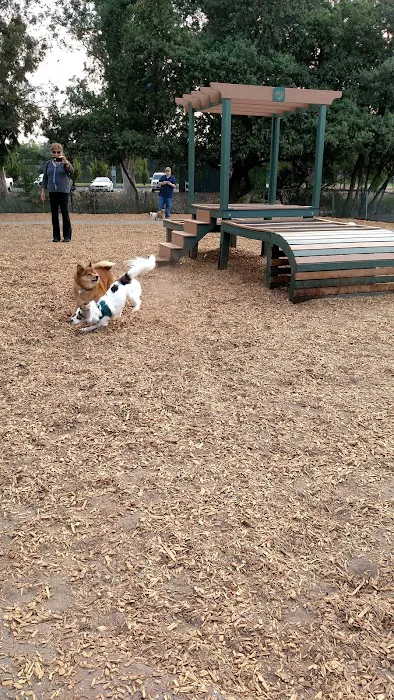 Heather Farm Dog Park 5