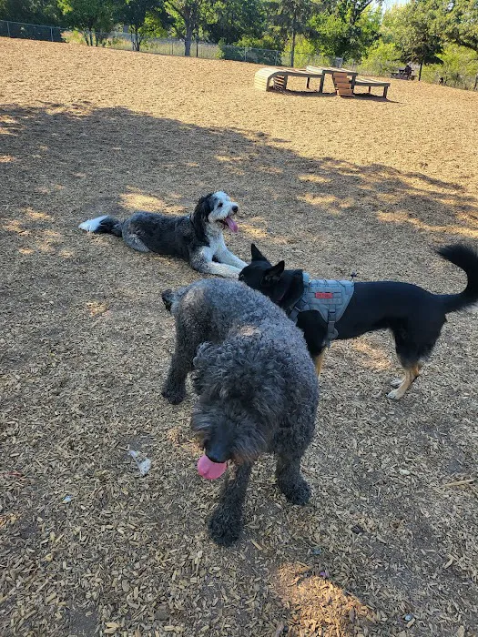 Heather Farm Dog Park 7