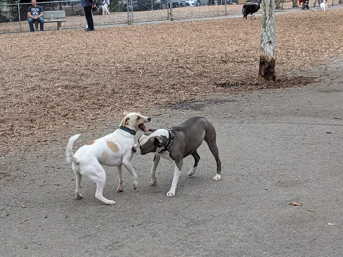 Heather Farm Dog Park 1