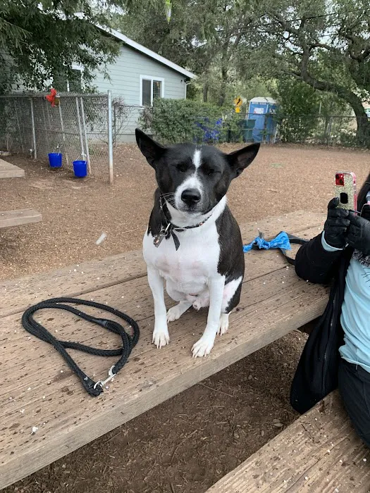 Ernest Holman Memorial Dog Park 7