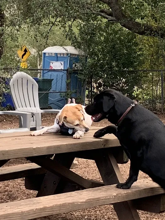Ernest Holman Memorial Dog Park 5