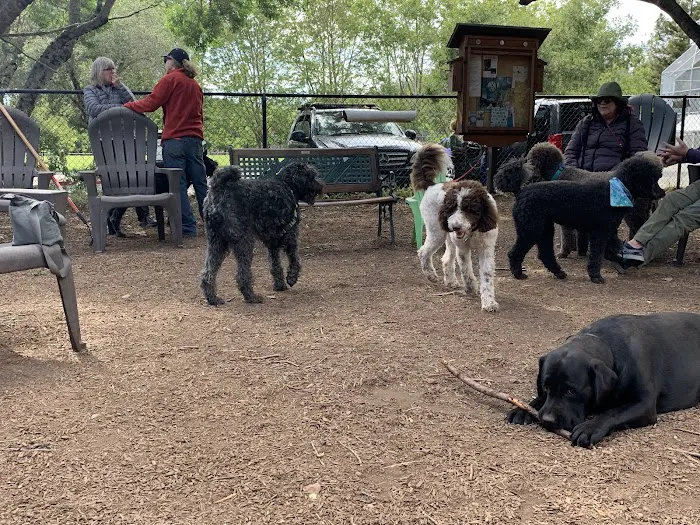 Ernest Holman Memorial Dog Park 6