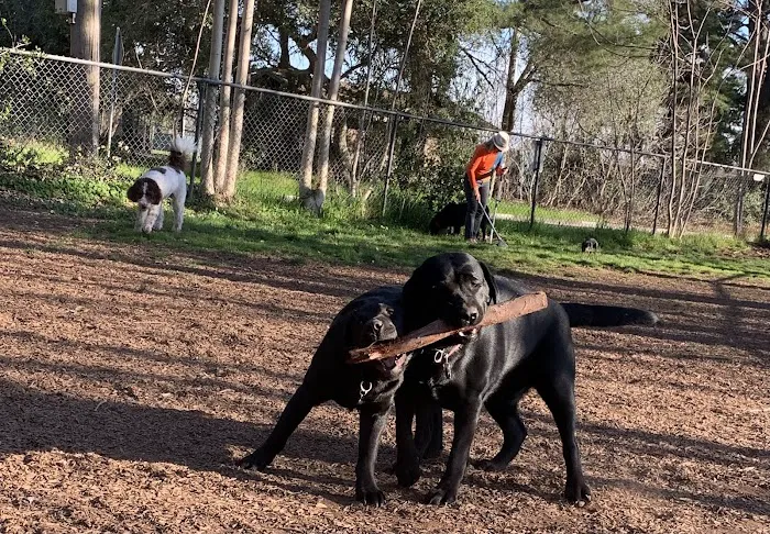 Ernest Holman Memorial Dog Park 3