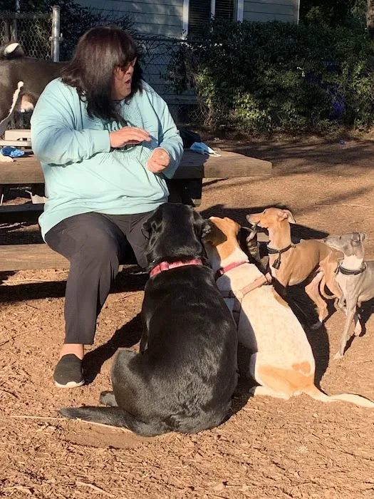 Ernest Holman Memorial Dog Park 2