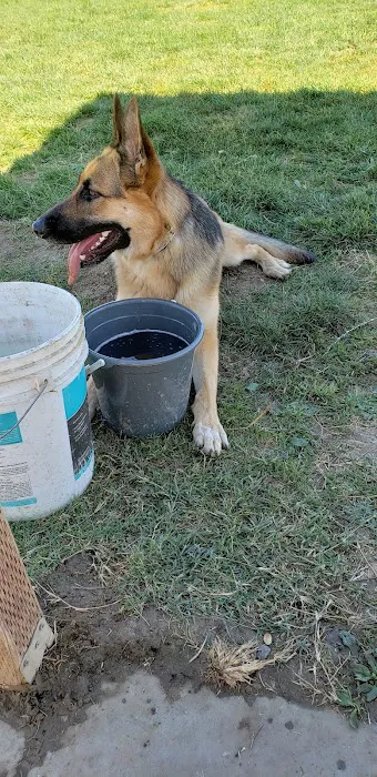 Highlands Ranch Dog Park 9