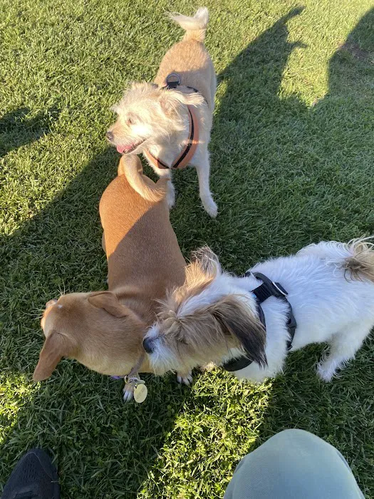 Highlands Ranch Dog Park 5