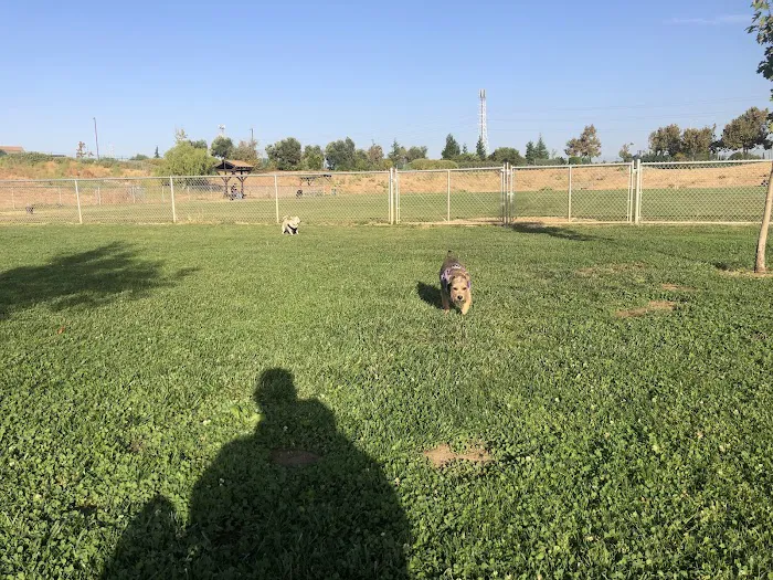 Highlands Ranch Dog Park 1