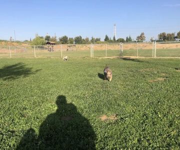 Highlands Ranch Dog Park