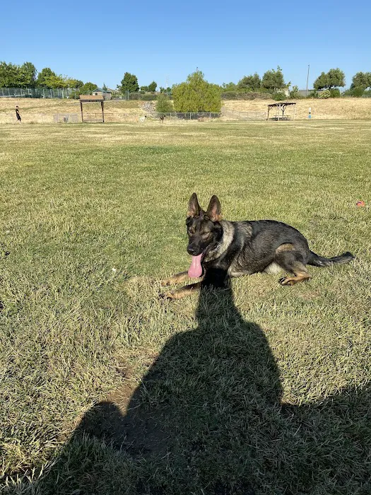 Highlands Ranch Dog Park 4