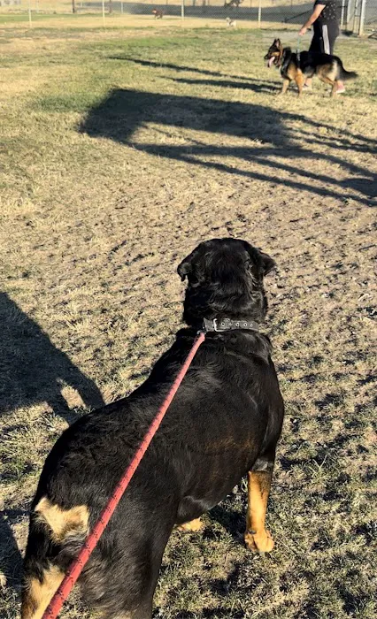 Highlands Ranch Dog Park 10