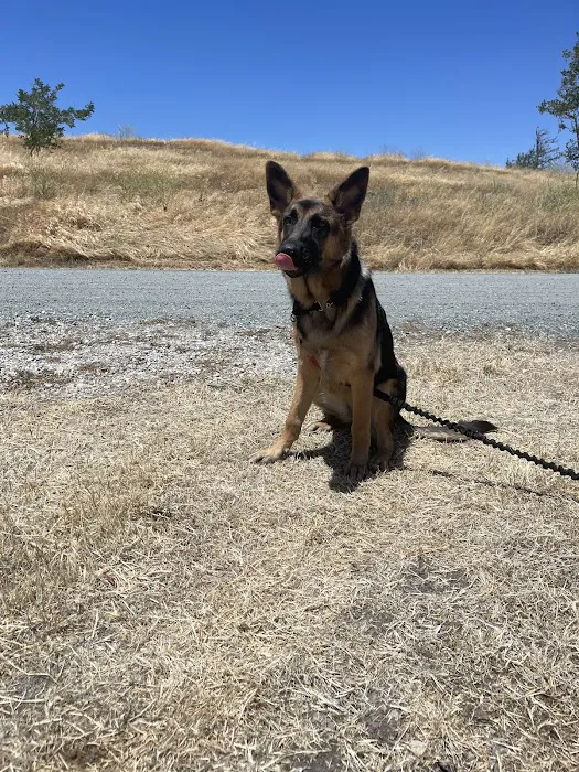 Antioch Dog Show Site 1