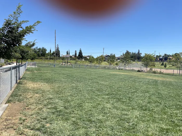 Koda Dog Park 4