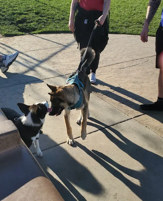 Koda Dog Park 1