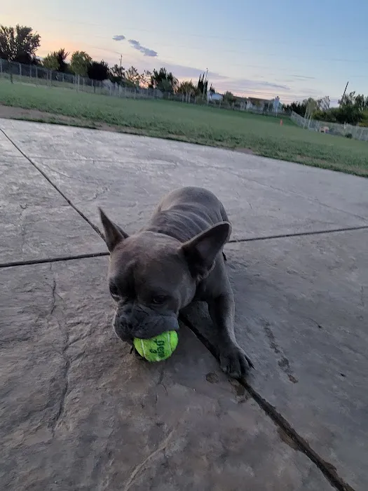 Koda Dog Park 6