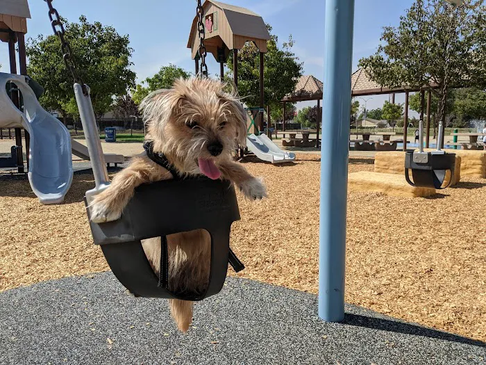 Koda Dog Park 10