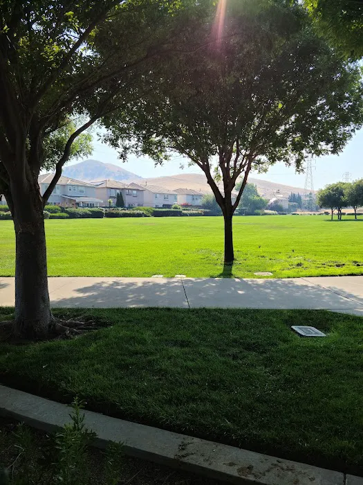 Markley Creek Dog Park 1