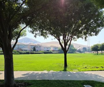 Markley Creek Dog Park