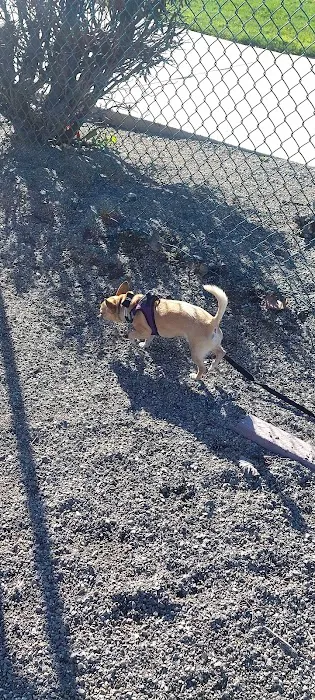 Markley Creek Dog Park 6