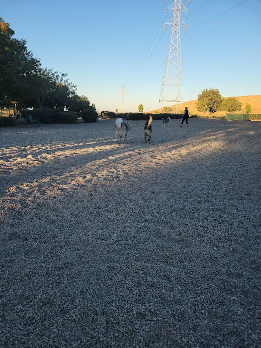 Markley Creek Dog Park 2