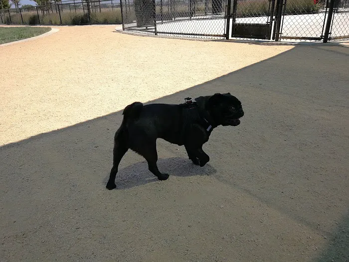Dakota (Dog) Park 5